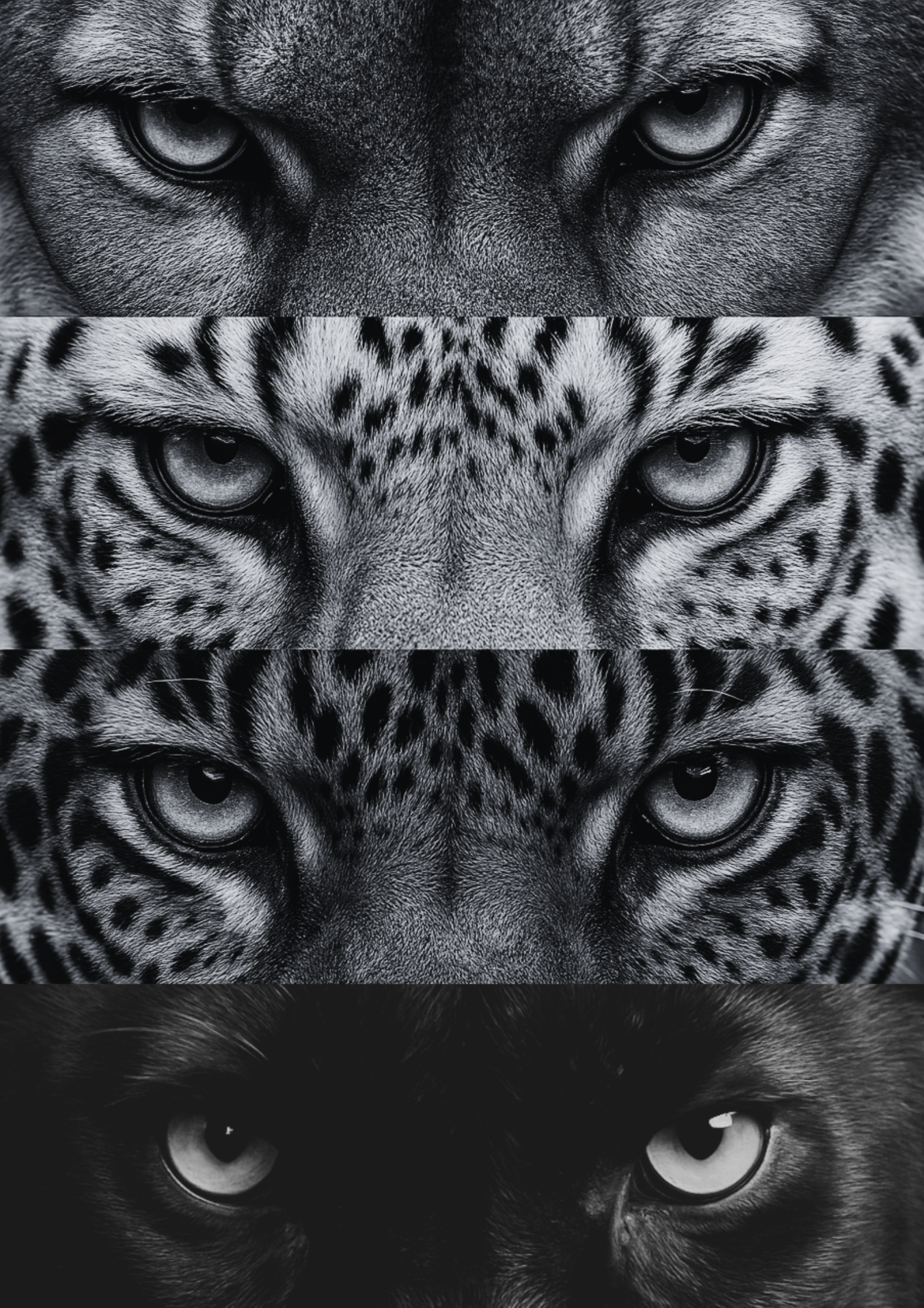 Eyes of Power