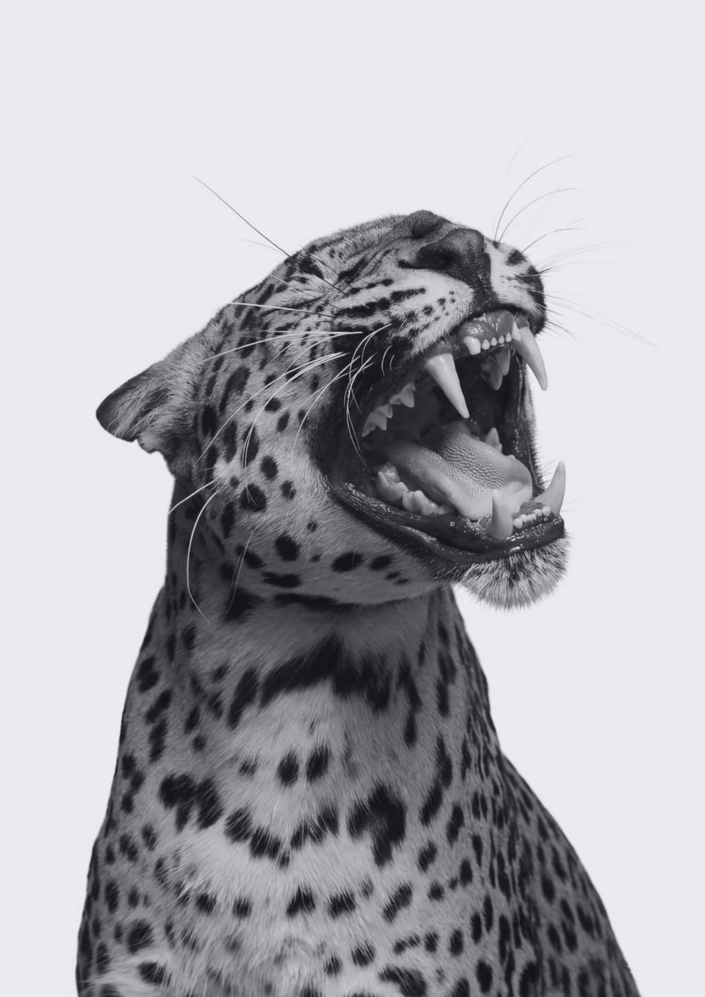 Primal Rage