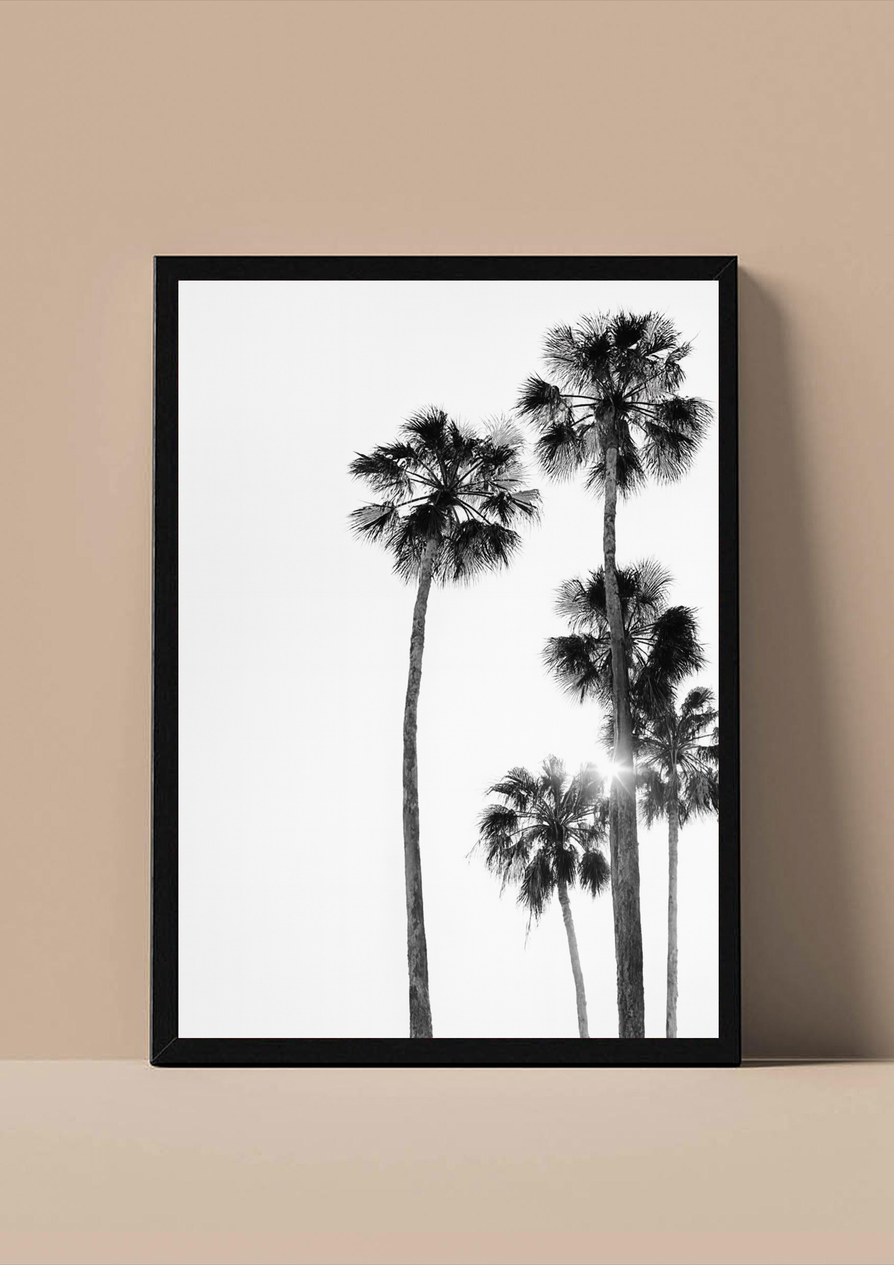 Palm Paradise