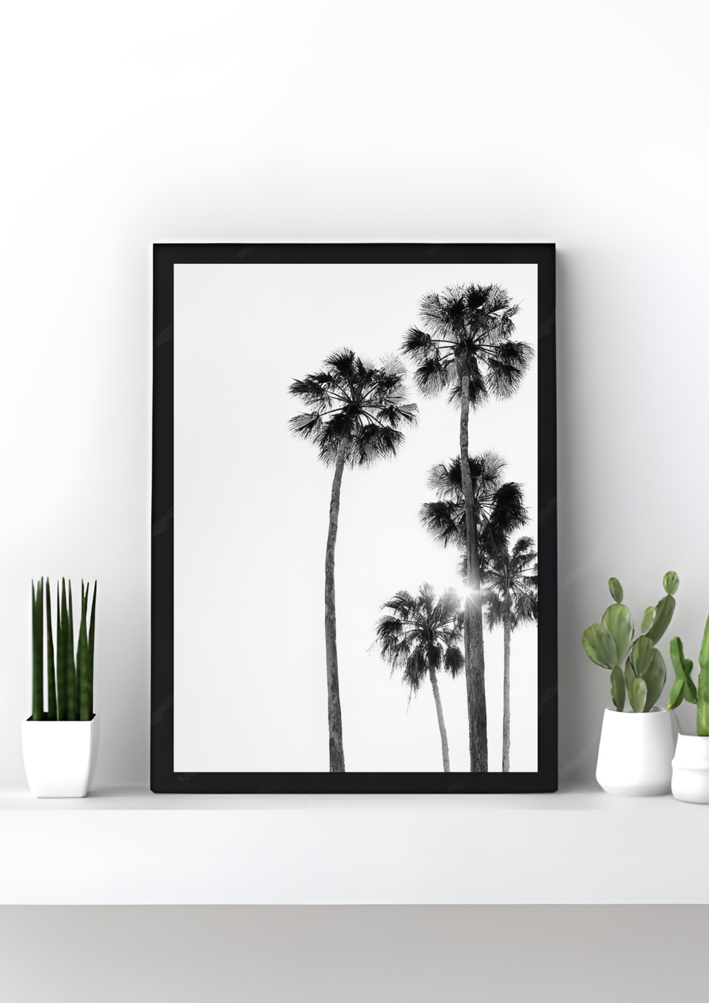 Palm Paradise