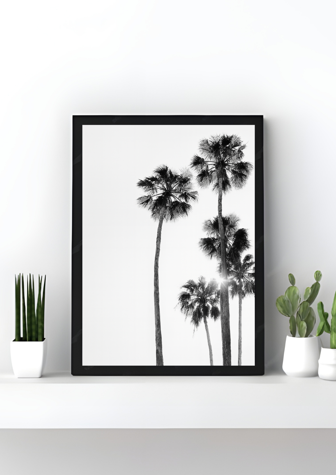 Palm Paradise