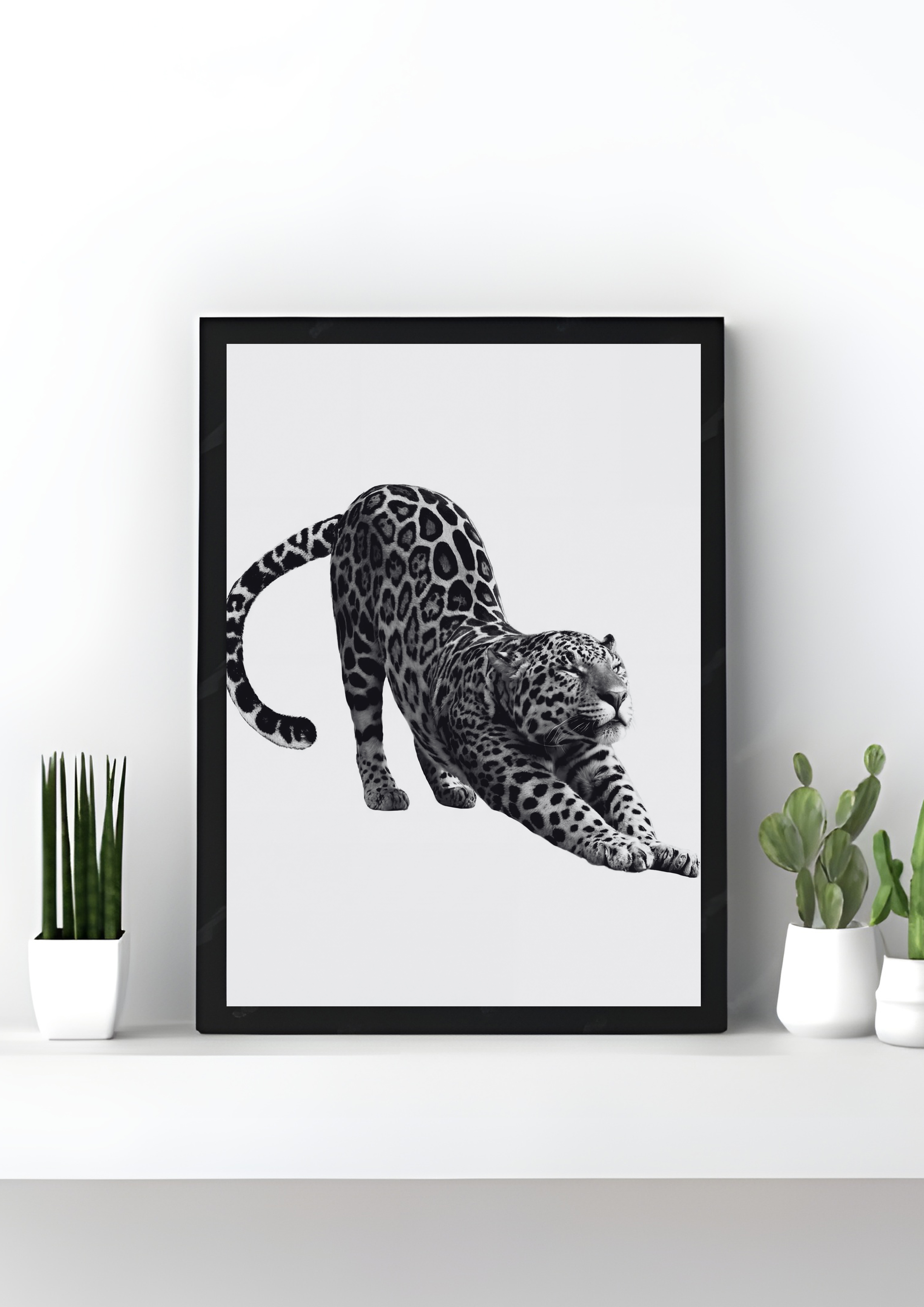 Feline
