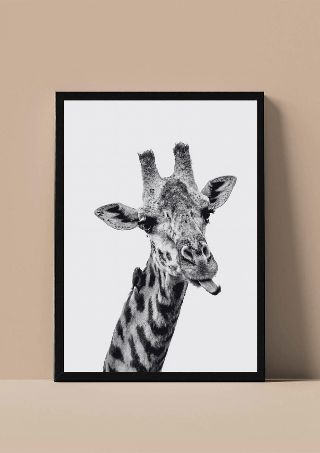 Safari Attitude