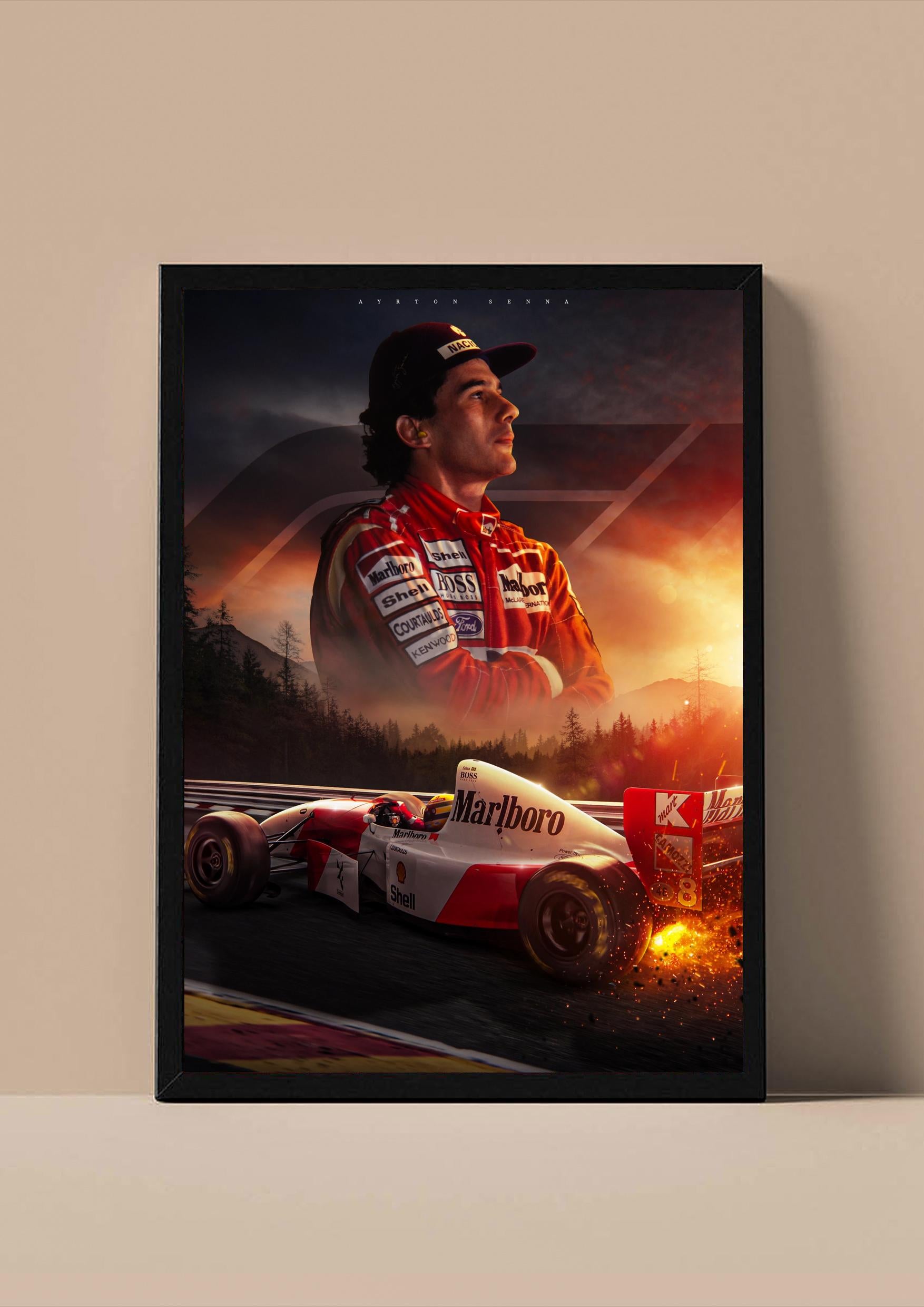 Ayrton Senna - The Legend