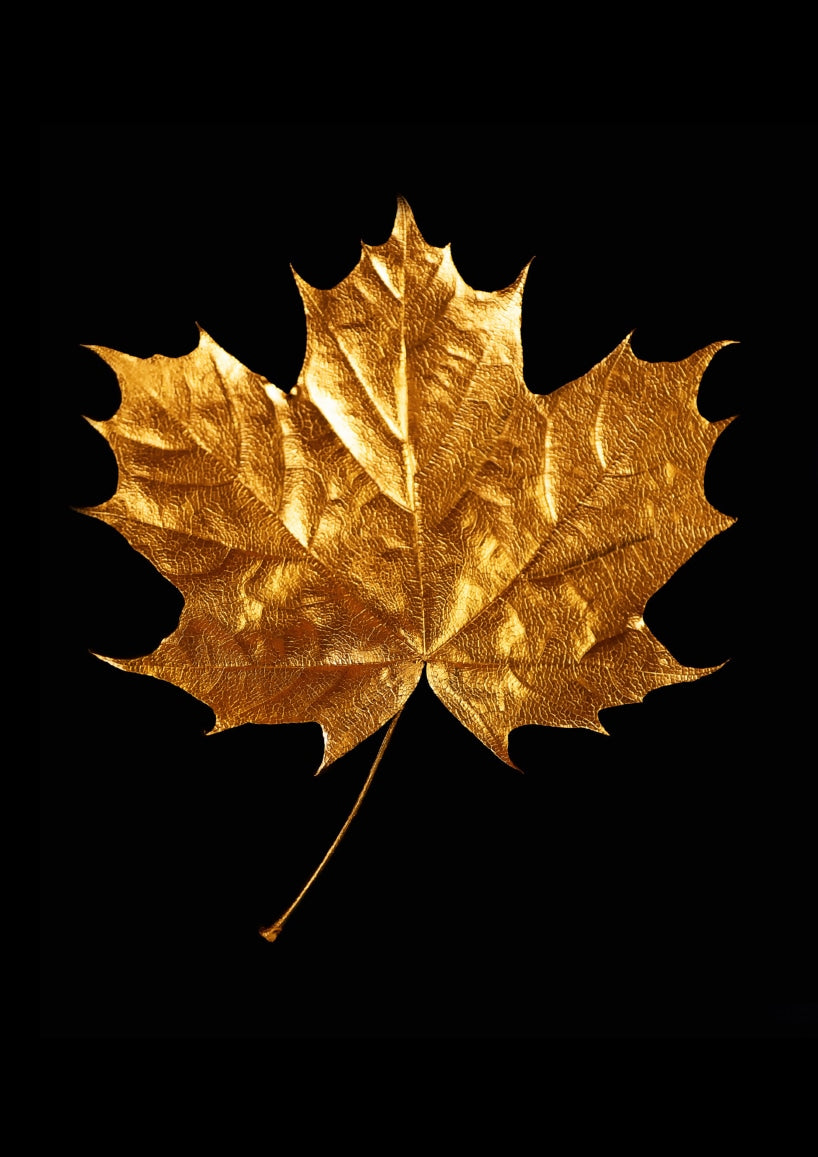 Golden Autumn