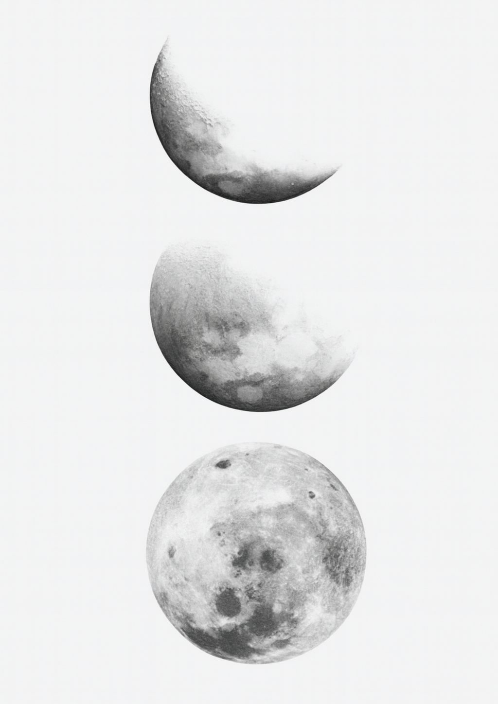 Lunar Cycle