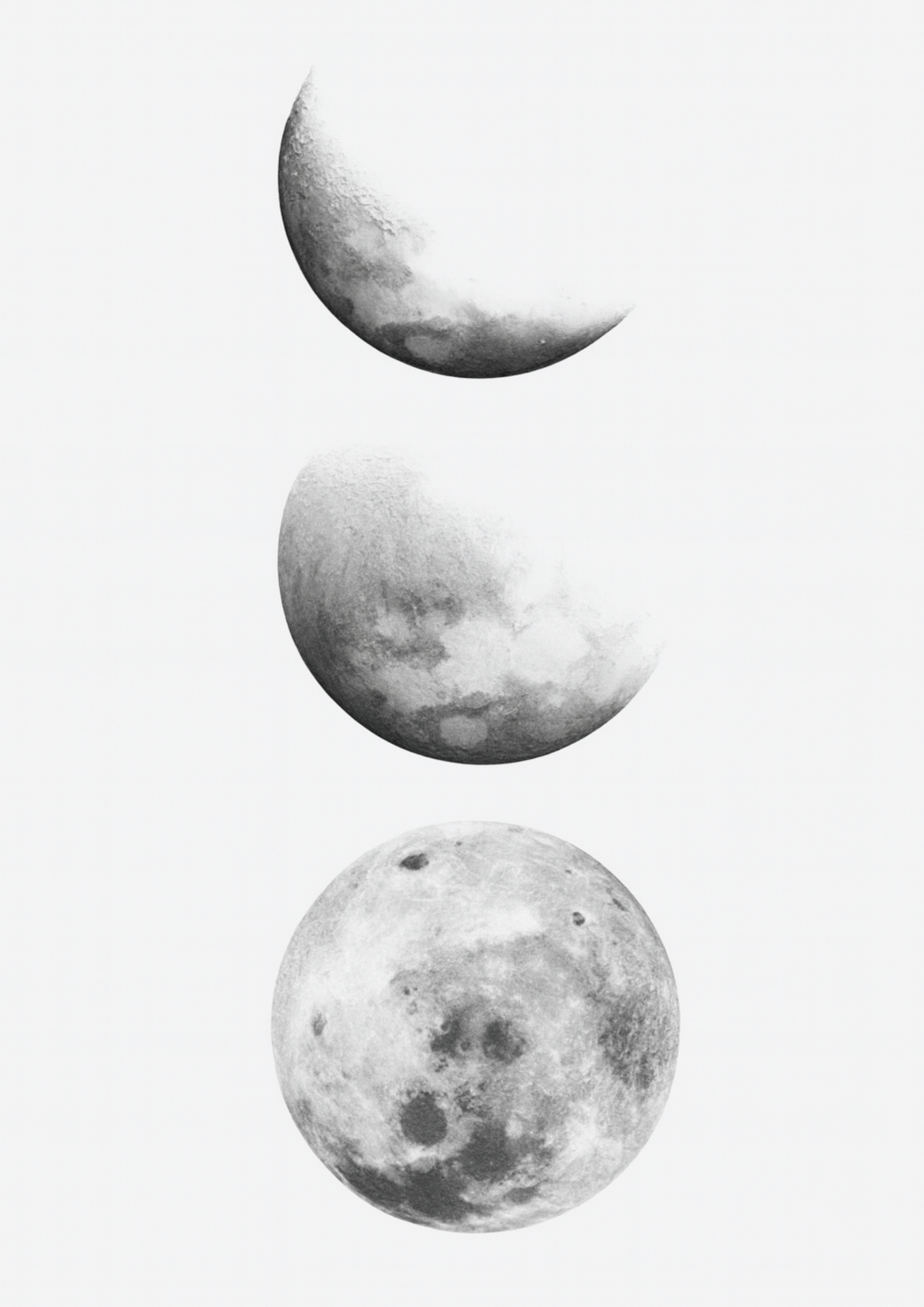 Lunar Cycle