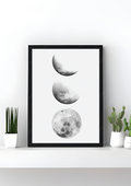 Lunar Cycle