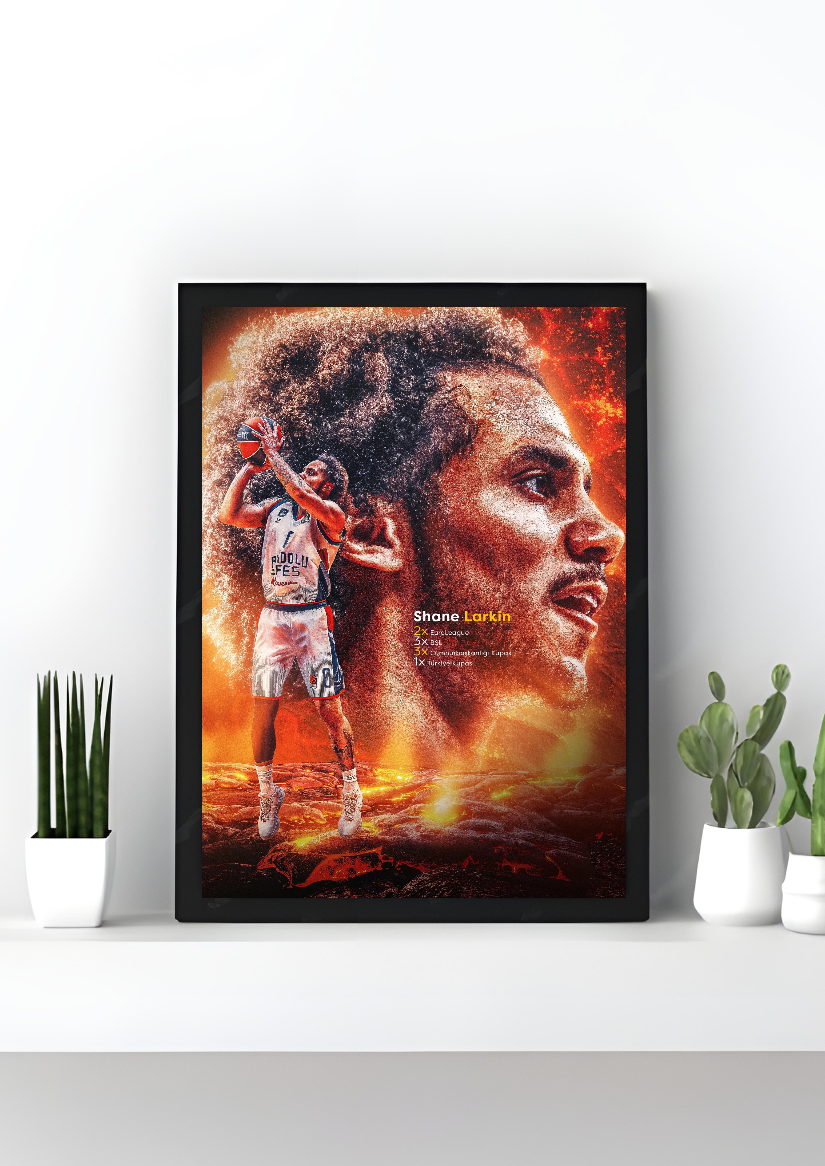 Shane Larkin - Firestorm