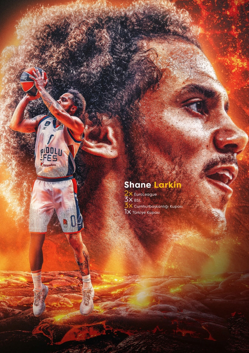 Shane Larkin - Firestorm