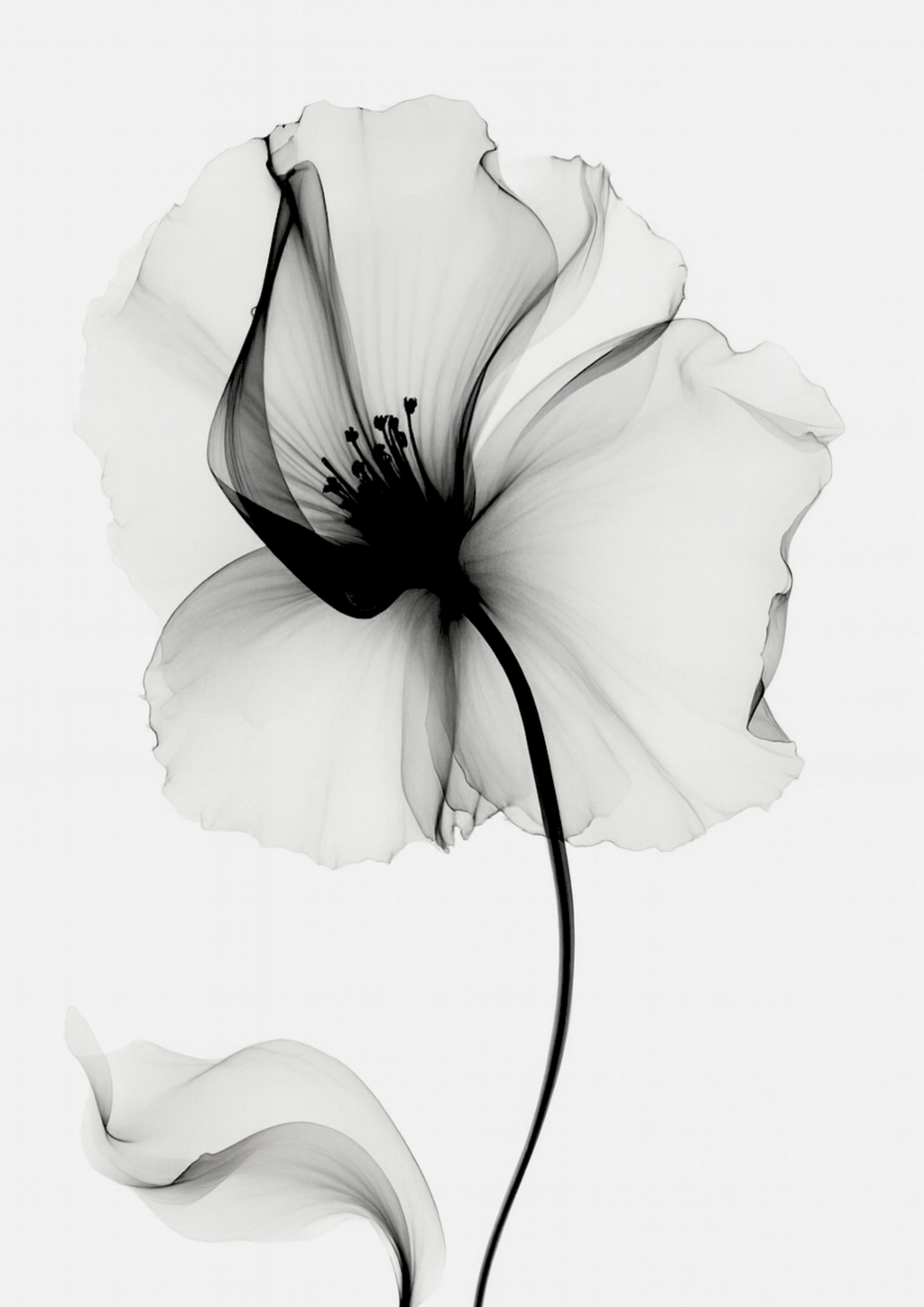 Ethereal Bloom