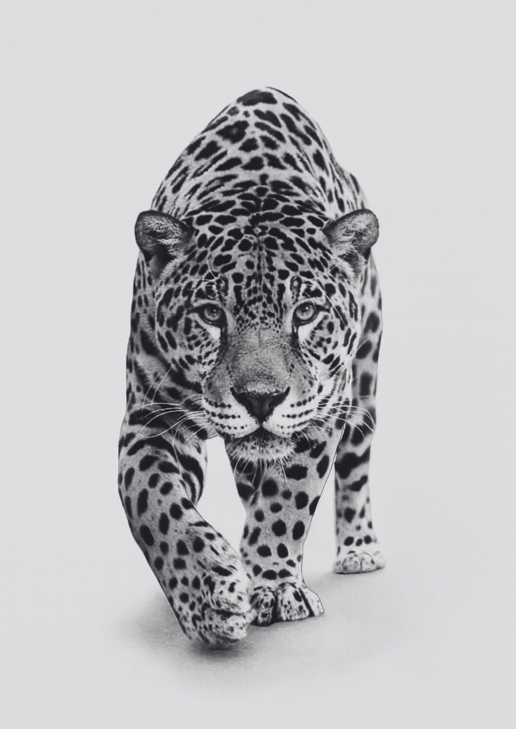 Focused