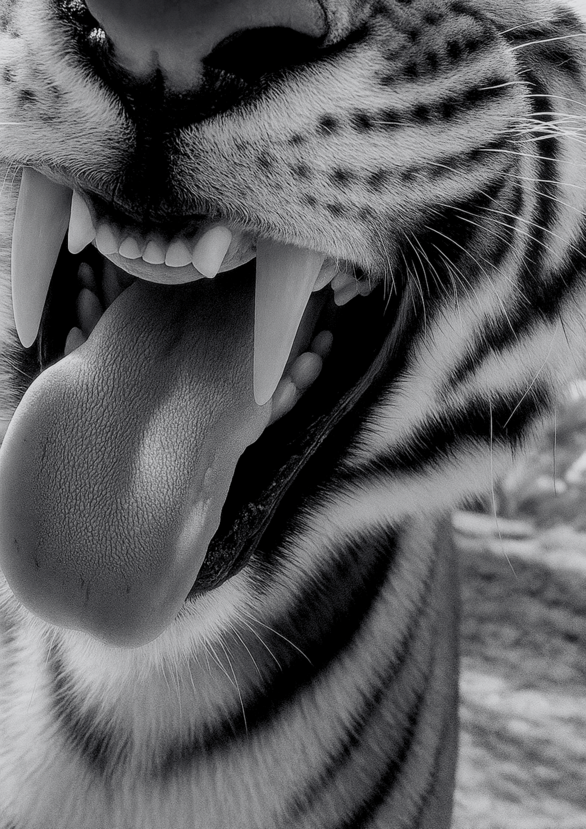 Alpha Roar