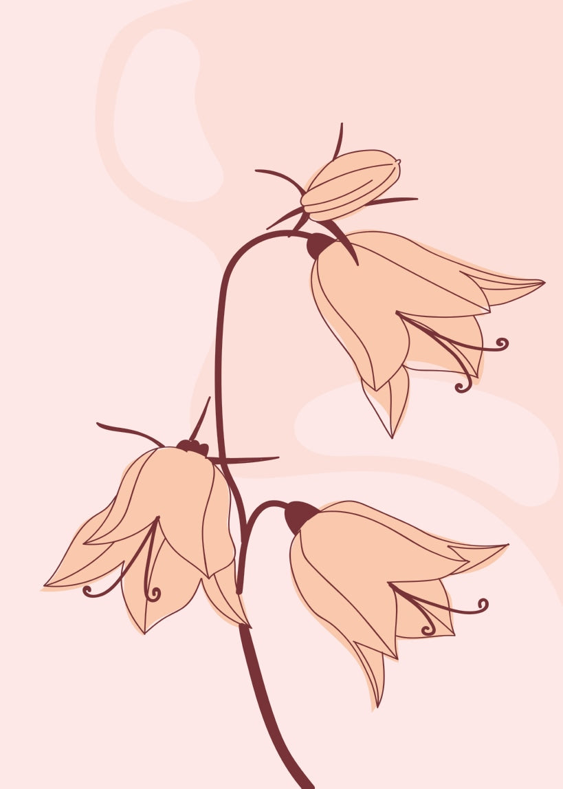 Bellflower