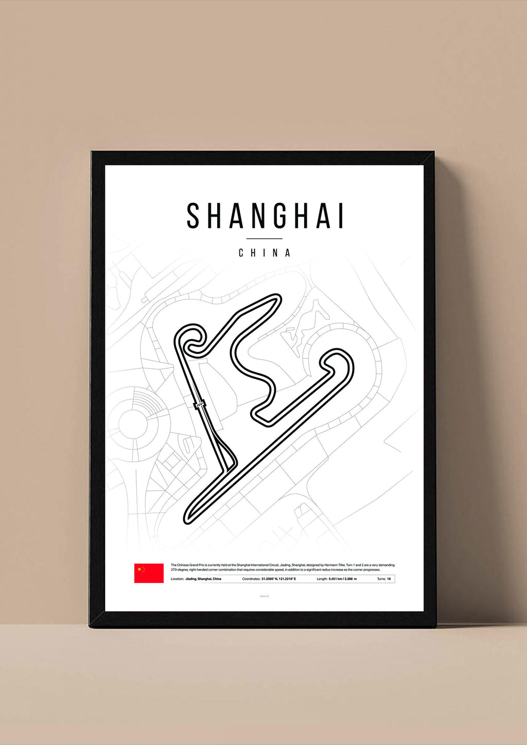 Shanghai - F1 Стаза
